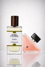 PARA inspiration PARADOXE PRADA