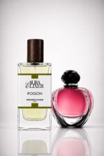 POISON inspiration DIOR POISON GIRL